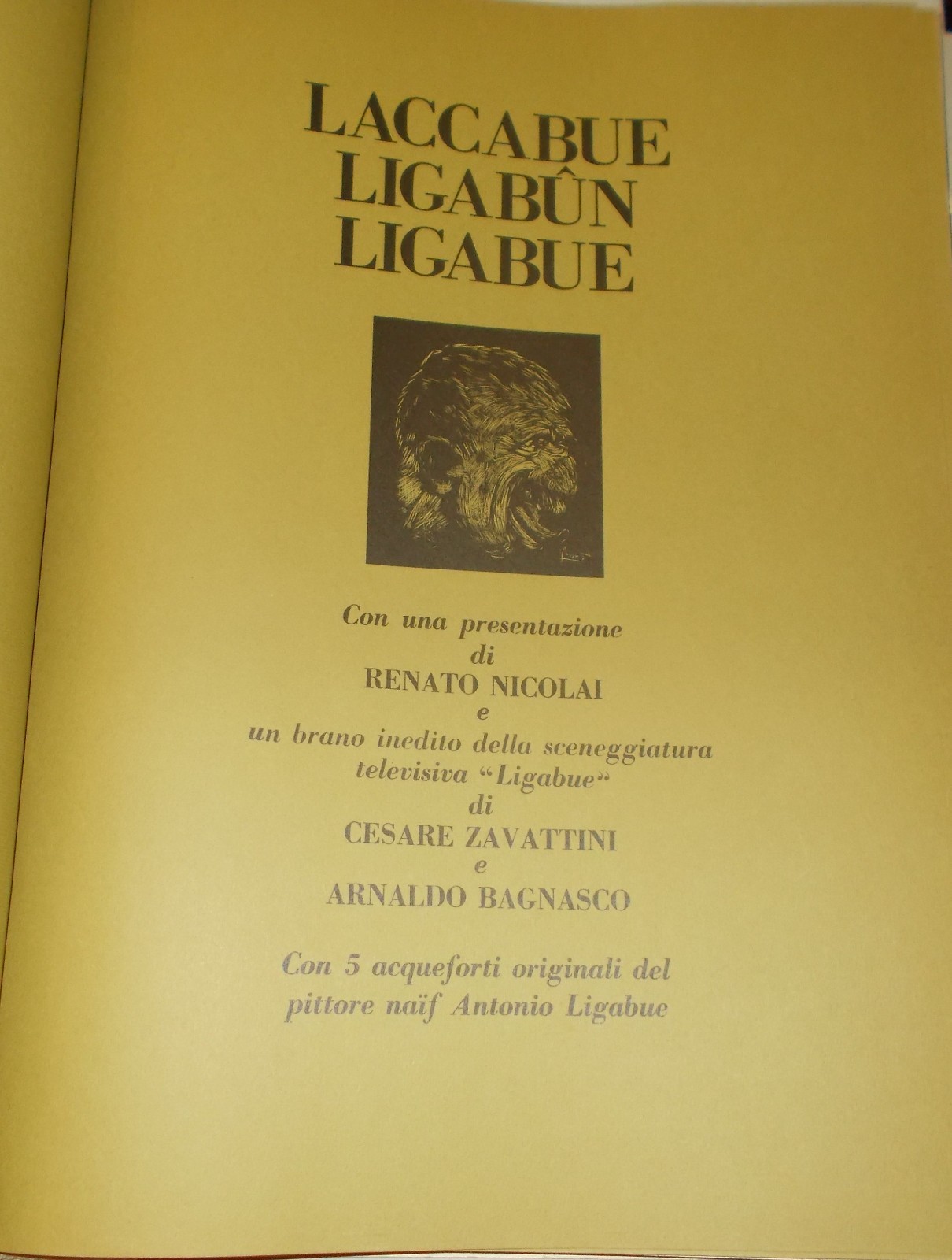 Ligabue, Bartoli, Guastalla, Zavattini: Raccolta Artistica