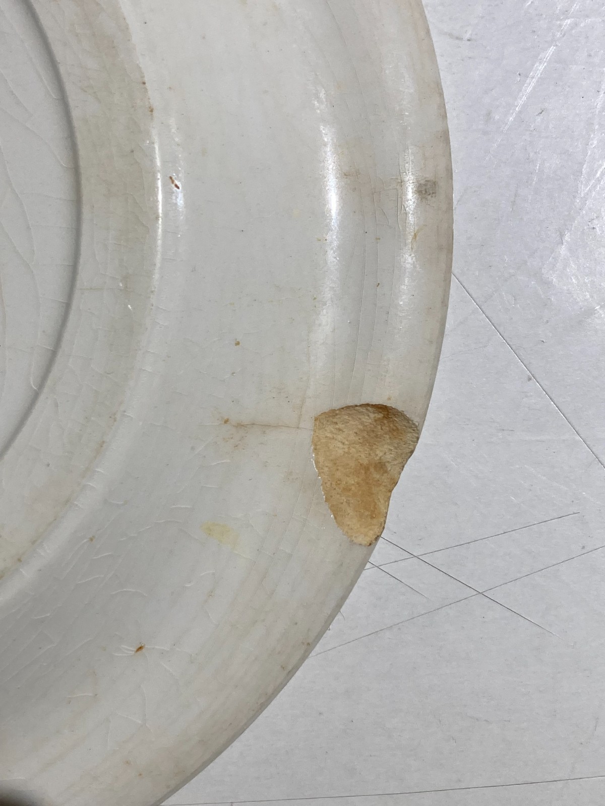 Richard Ginori Mondovì, Ceramica Floreale Con Marchio Araldico, Piatto Piano (21 Cm)