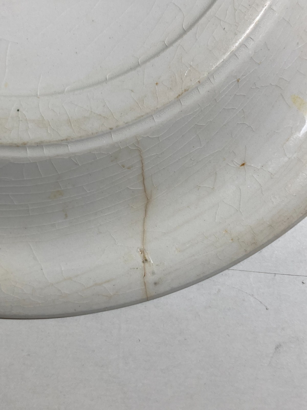 Richard Ginori Mondovì, Ceramica Floreale Con Marchio Araldico, Piatto Piano (21 Cm)