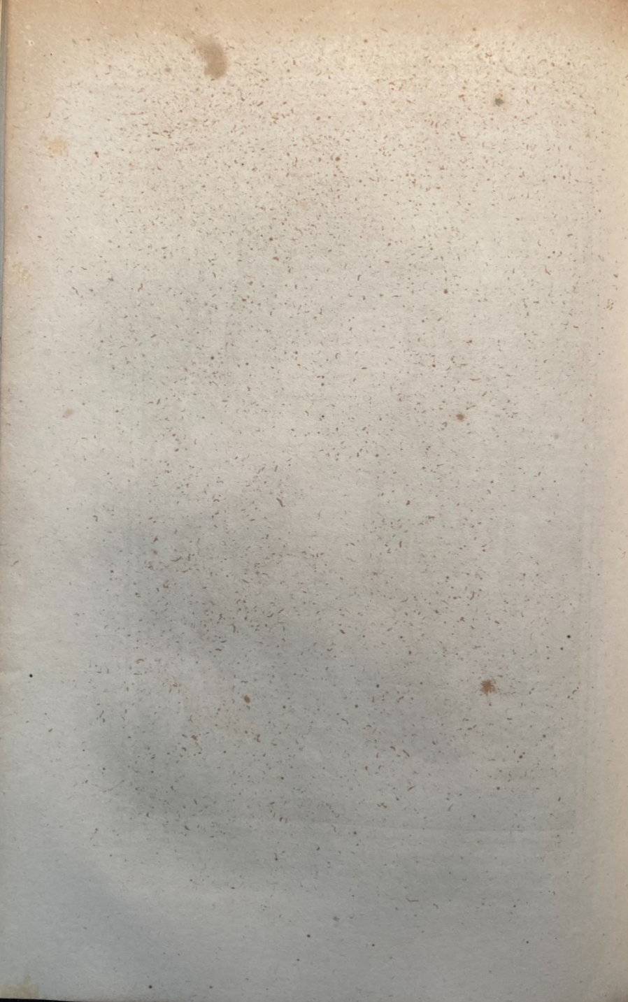 Morte Di Correggio: Antica Stampa Litografica (Vicarj, Brizeghel, 1844)