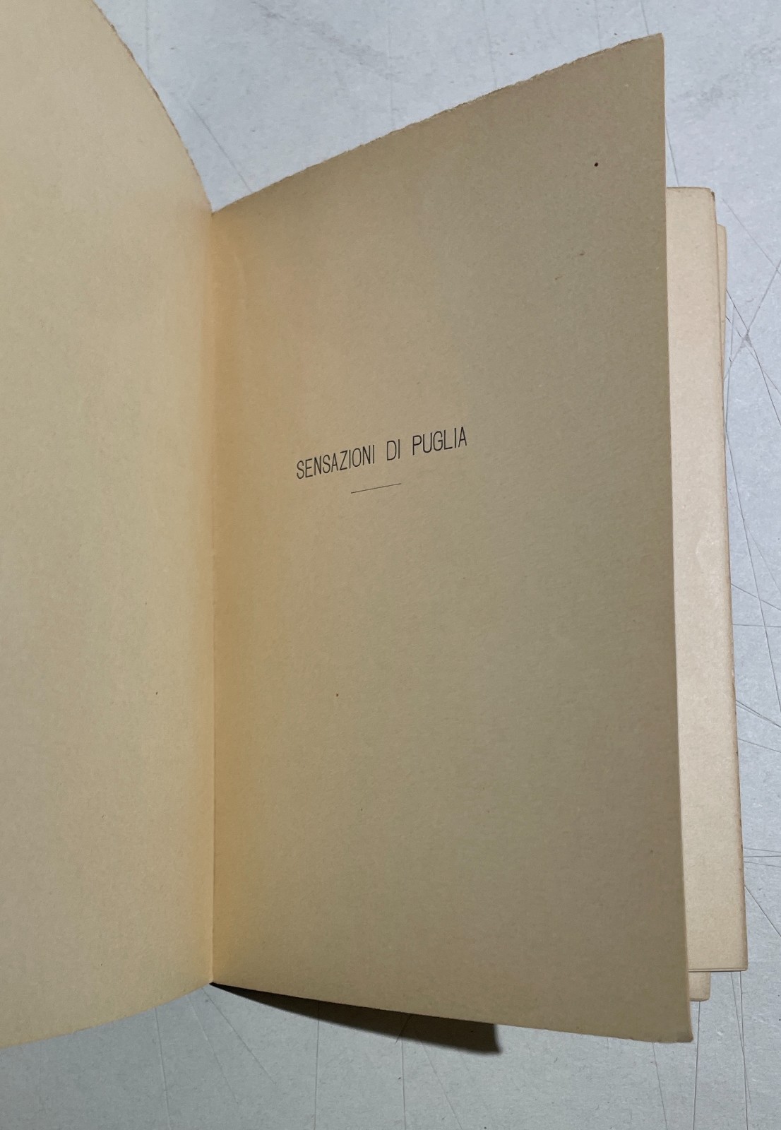 Puglia, Raffaele Cotugno: Letture E Conferenze (1906)