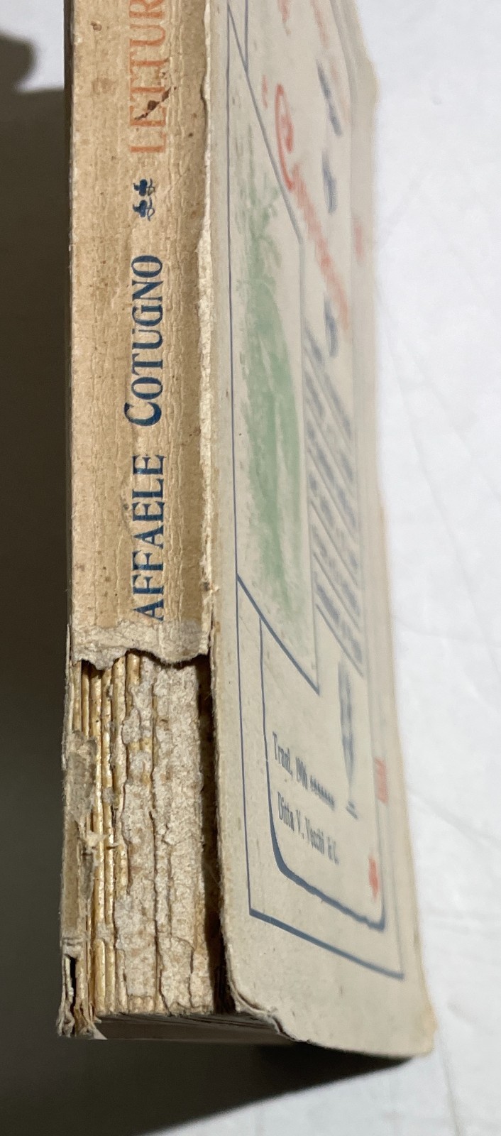 Puglia, Raffaele Cotugno: Letture E Conferenze (1906)
