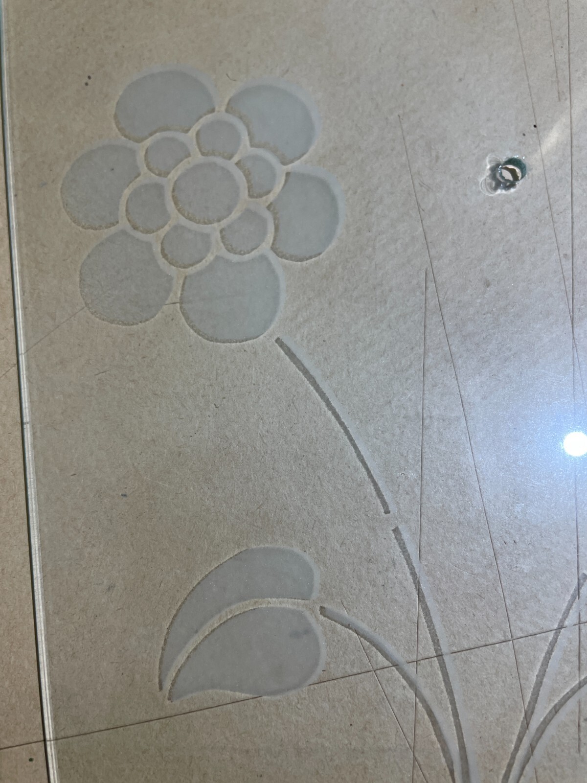 Coppia Di Ventole Per Lampade In Vetro Decorato A Motivi Floreali