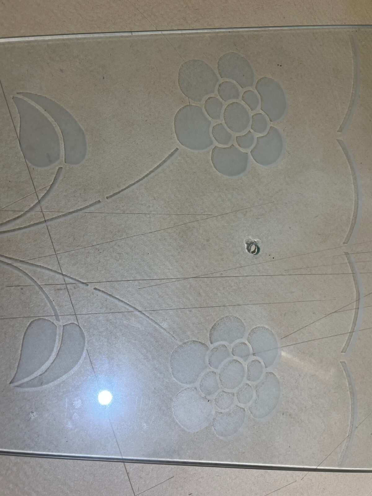 Coppia Di Ventole Per Lampade In Vetro Decorato A Motivi Floreali