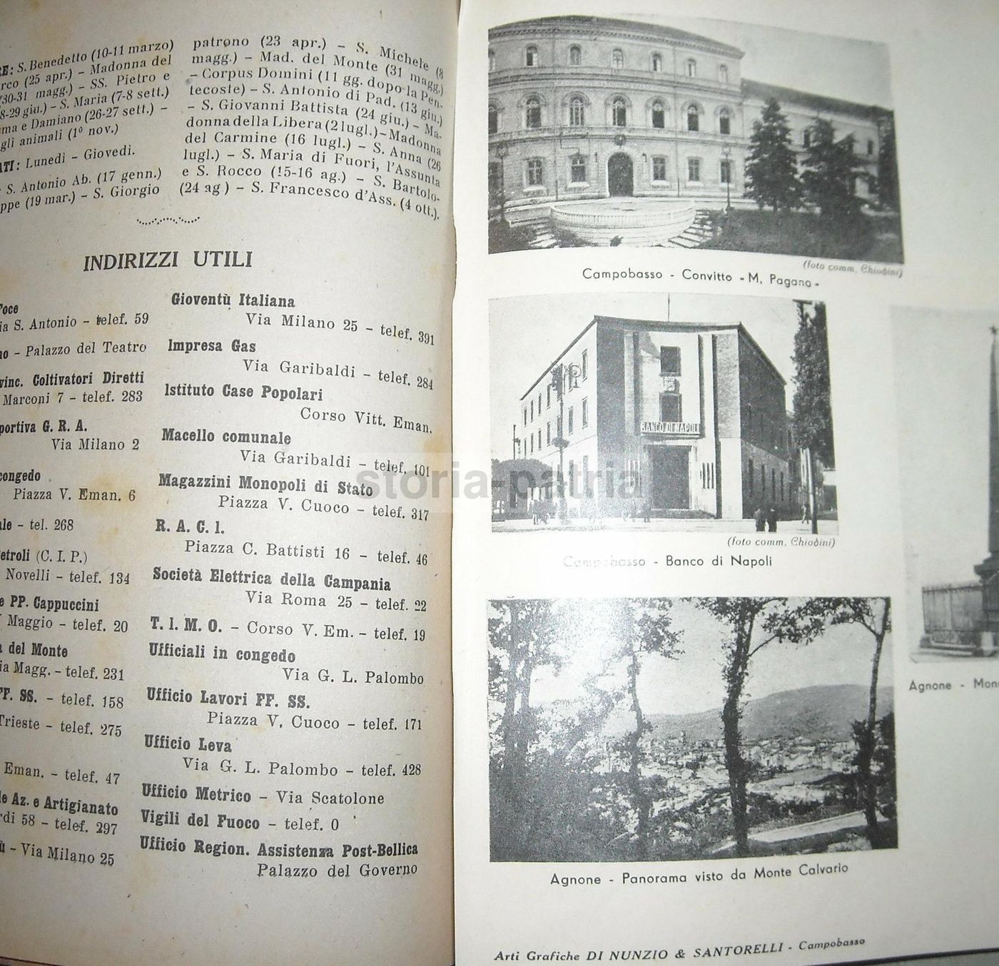 Annuario Della Regione Molise 1947 Campobasso De Lisio Scocchera