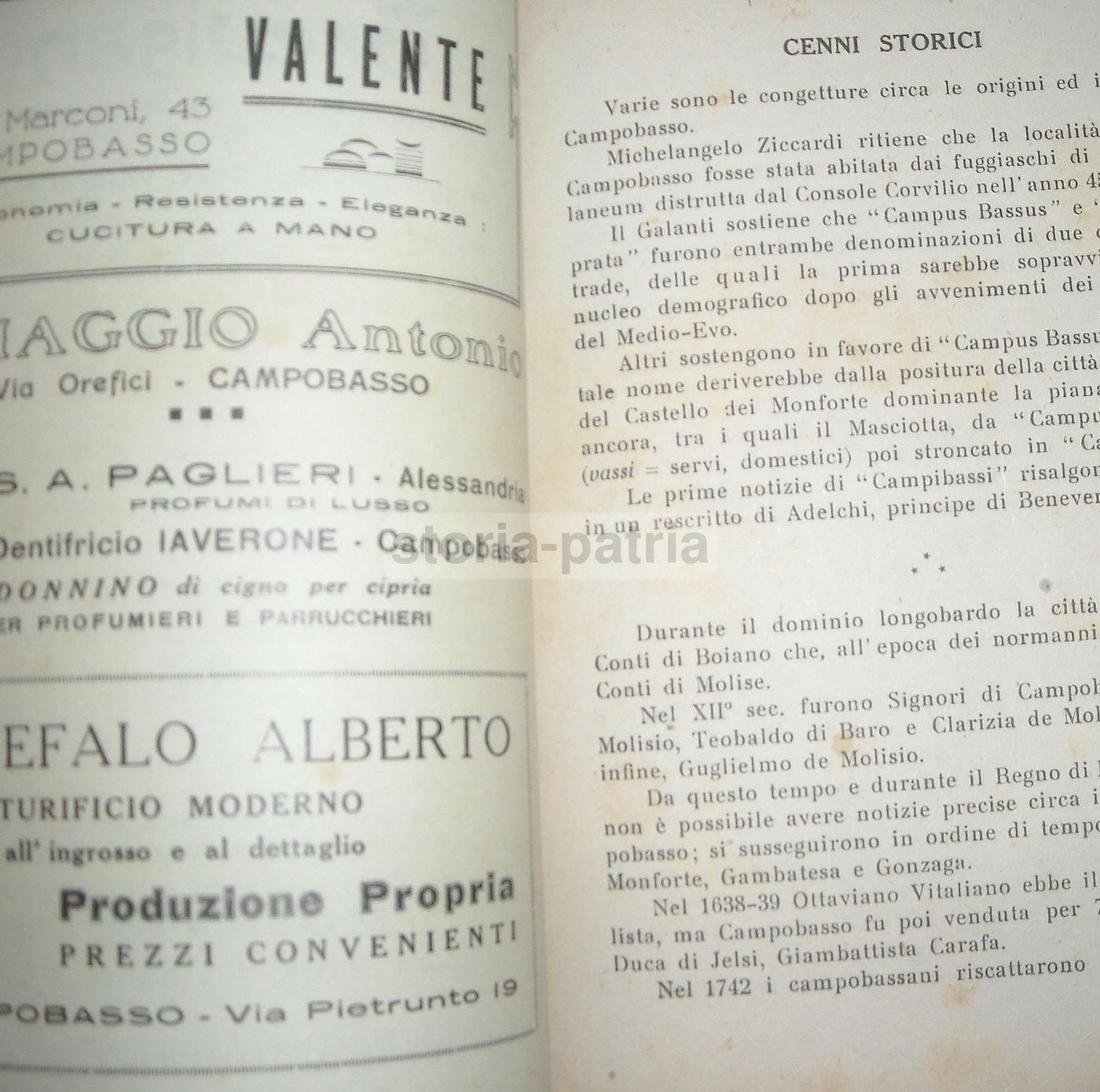 Annuario Della Regione Molise 1947 Campobasso De Lisio Scocchera