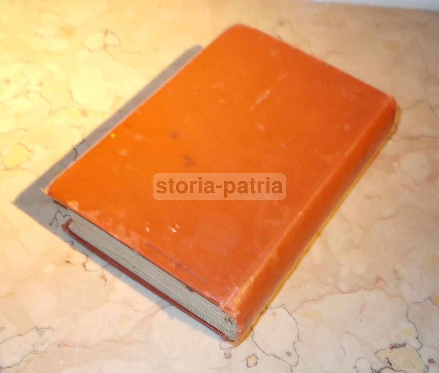 Contabilità Comunale (A. De Brun, Hoepli, 1921)