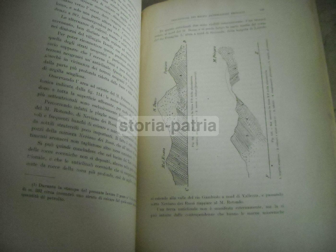 Giacimenti Petroliferi Dell'Emilia 1911: Camerana, Galdi   Carta Geologica d'Italia