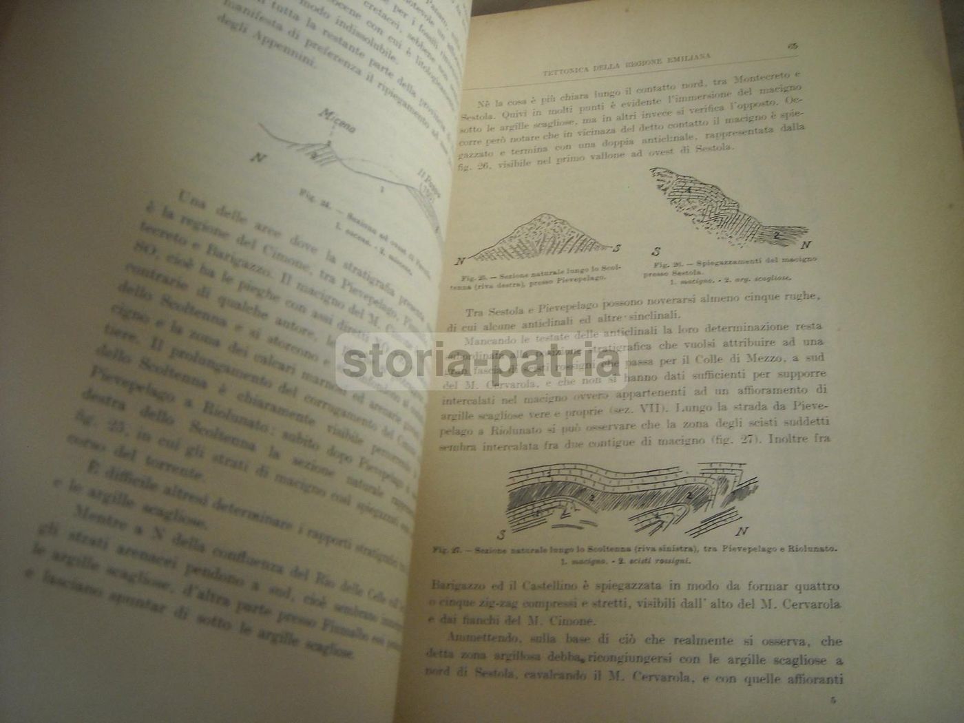 Giacimenti Petroliferi Dell'Emilia 1911: Camerana, Galdi Carta Geologica d'Italia