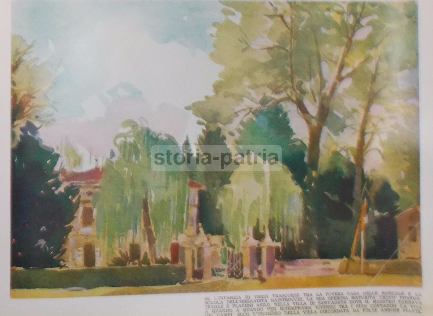 Stampa Antica Case Giuseppe Verdi Roncole E Sant'Agata 1941