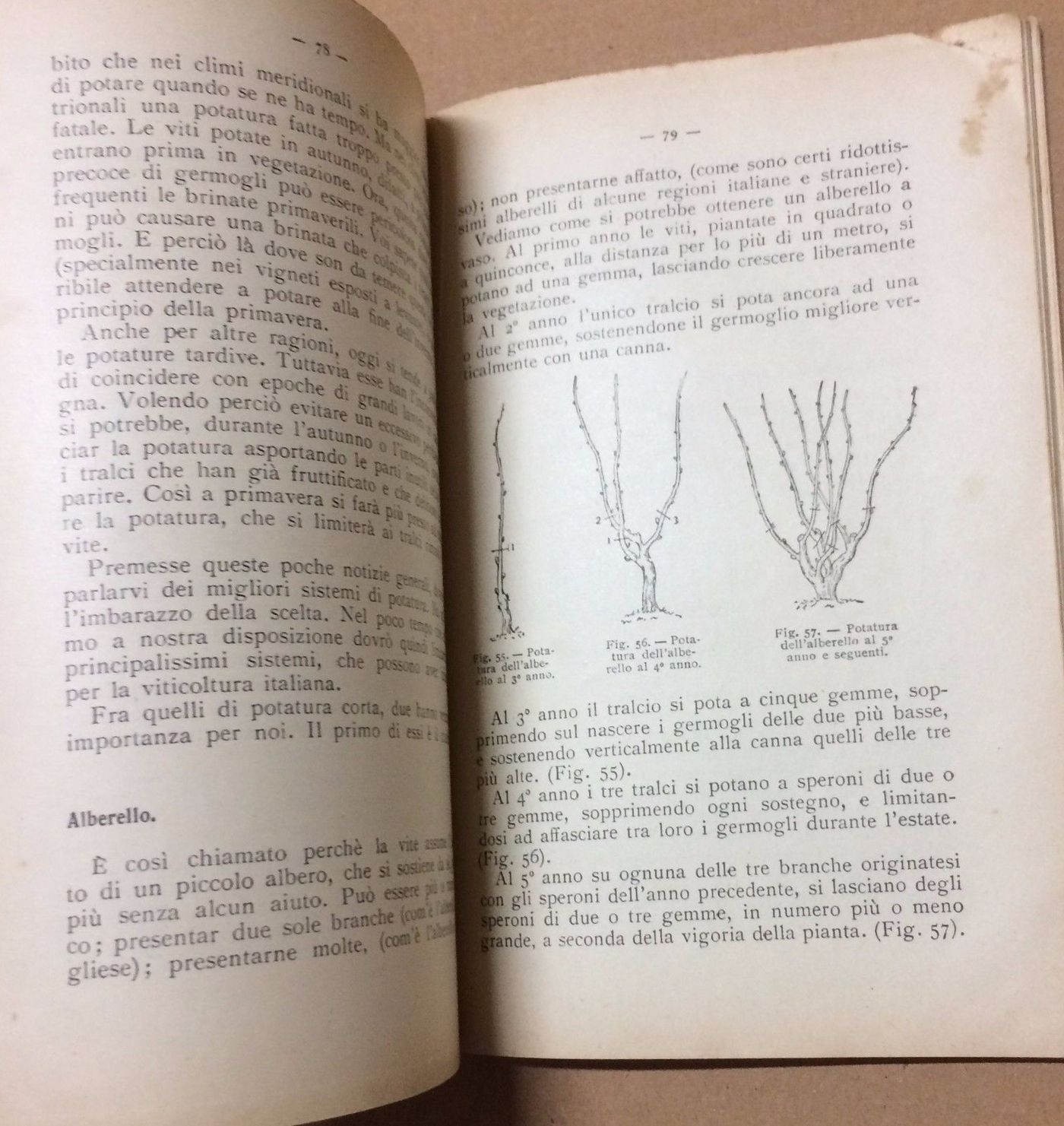 Nozioni Di Viticoltura Moderna Dalmasso 1942 Vallardi Enologia