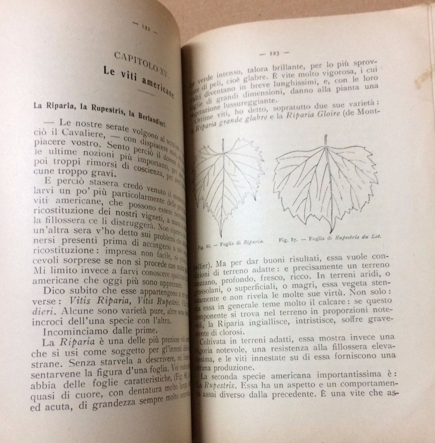 Nozioni Di Viticoltura Moderna Dalmasso 1942 Vallardi Enologia