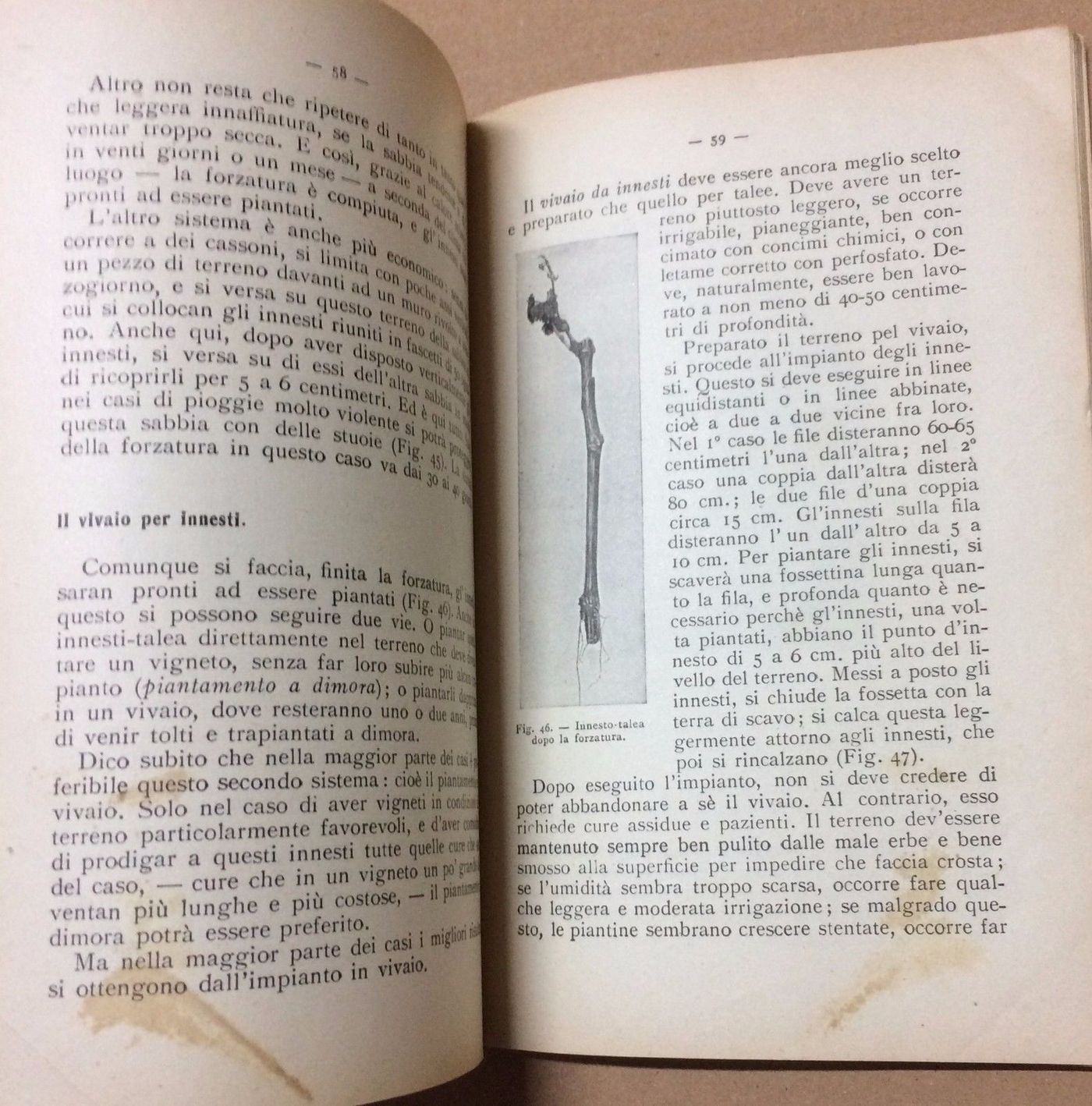 Nozioni Di Viticoltura Moderna Dalmasso 1942 Vallardi Enologia