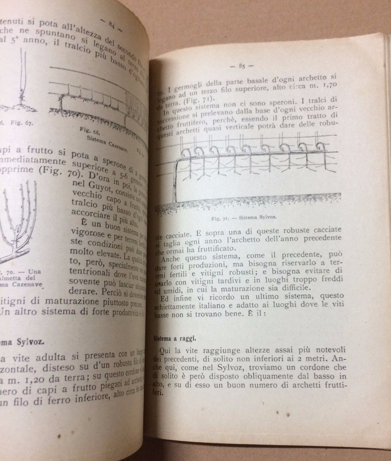 Nozioni Di Viticoltura Moderna Dalmasso 1942 Vallardi Enologia