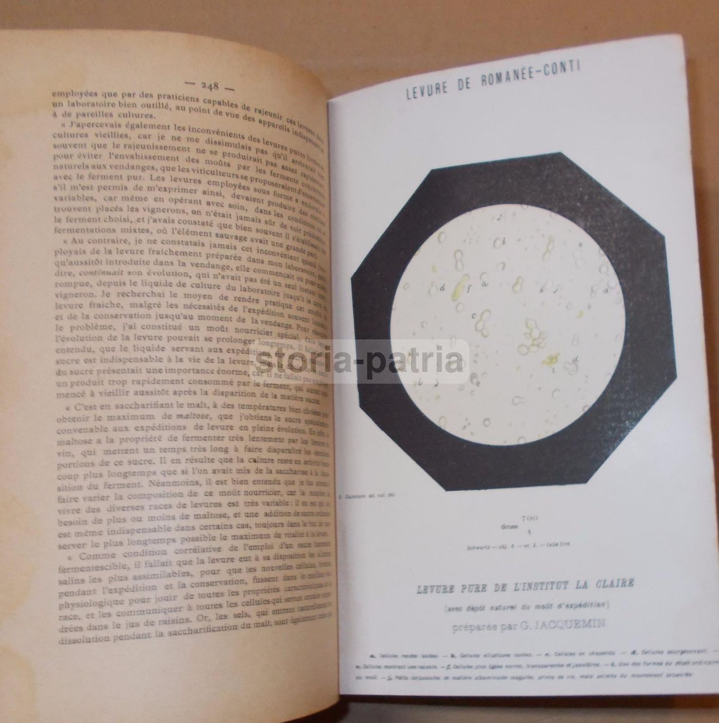 La Vinification Moderne 1903: Jacquemin & Alliot   Enologia E Viticoltura