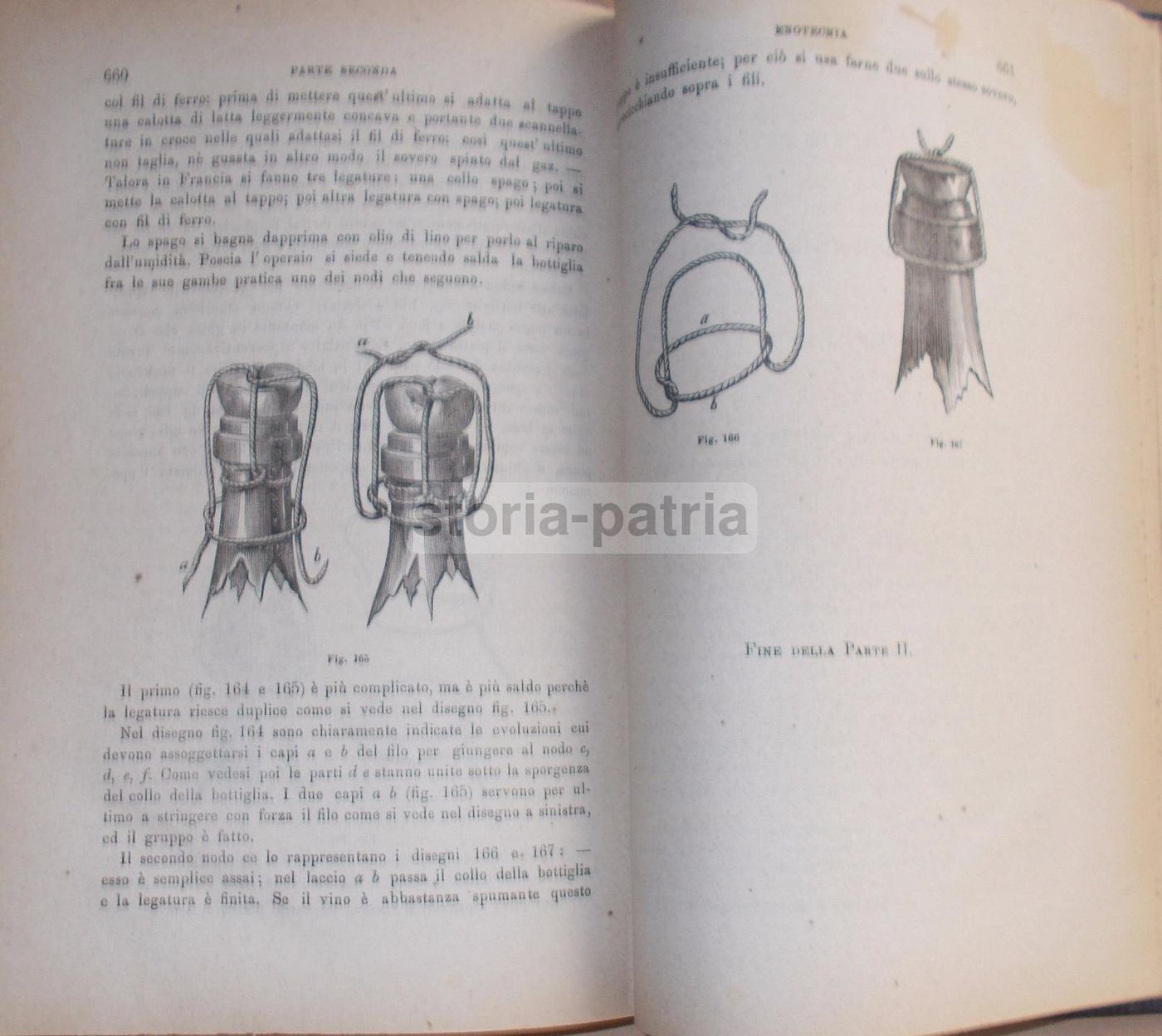 Enologia Teorico Pratica Di Ottavio Ottavi 1882 Vini E Spumanti