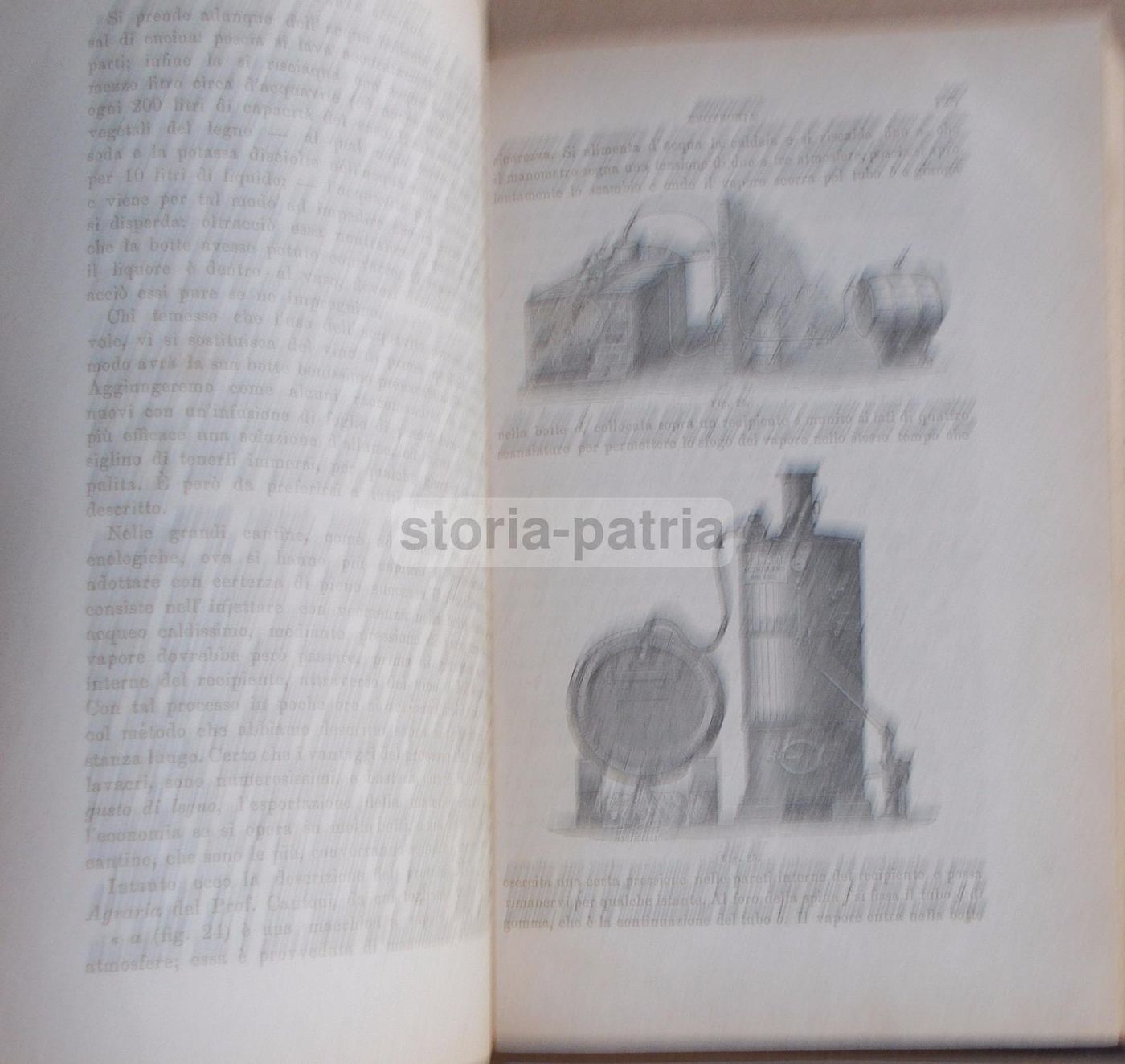 Enologia Teorico Pratica Di Ottavio Ottavi 1882 Vini E Spumanti