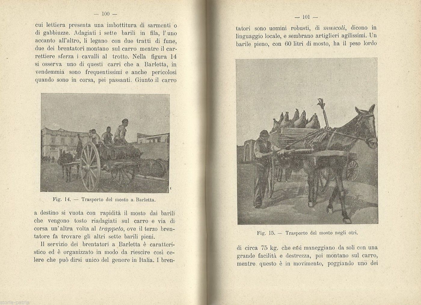 Giuseppe De Astis, I Filtrati Dolci (1907) Enologia E Viticoltura