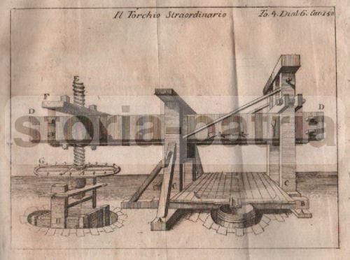 Stampa Antica Di Un Torchio Vinario Del XVIII Secolo, Incisione All'Acquaforte