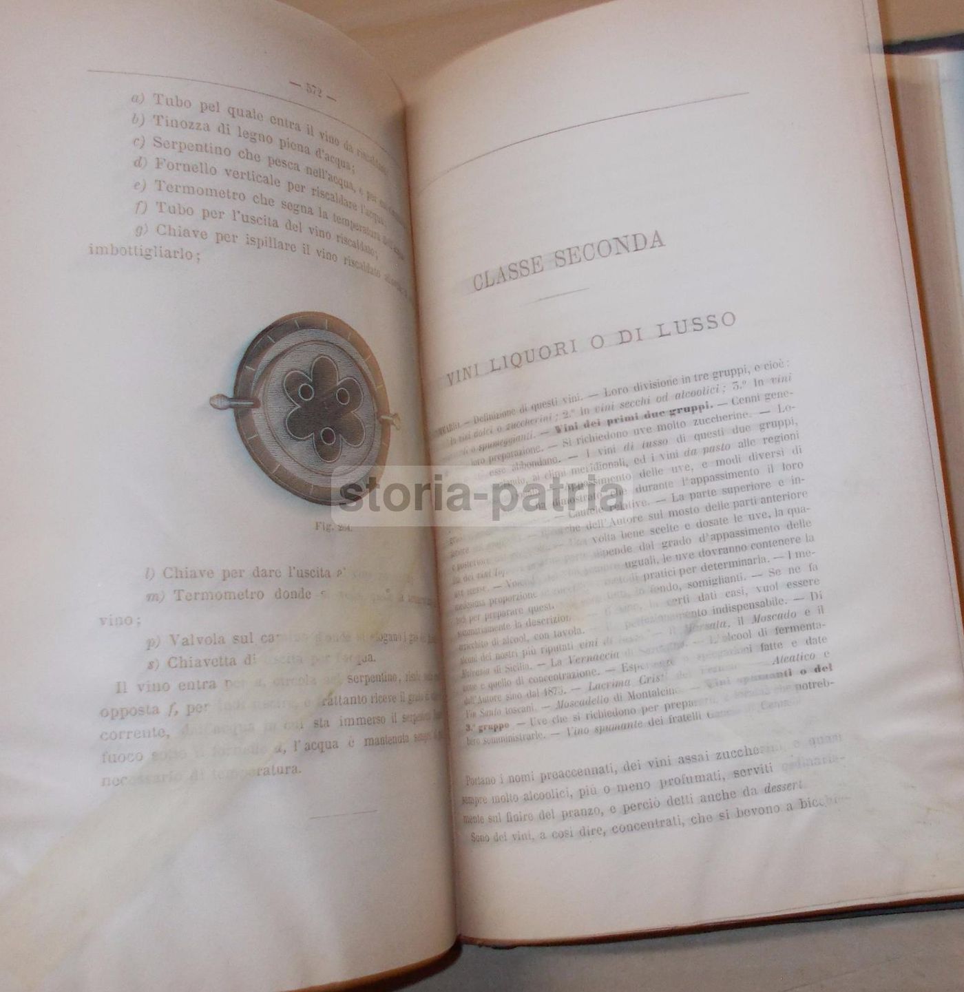 Viticoltura Ed Enologia Di Egidio Pollacci: Teoria E Pratica (1883)