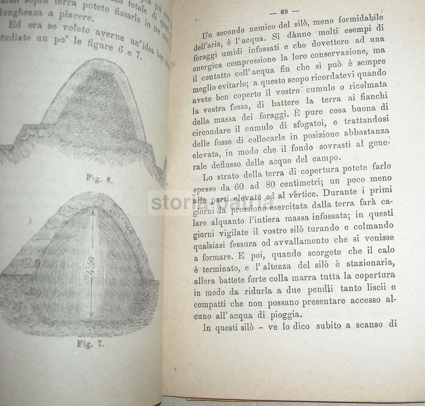 Almanacco Il Coltivatore 1884: Agricoltura, Enologia, Vino E Cantina