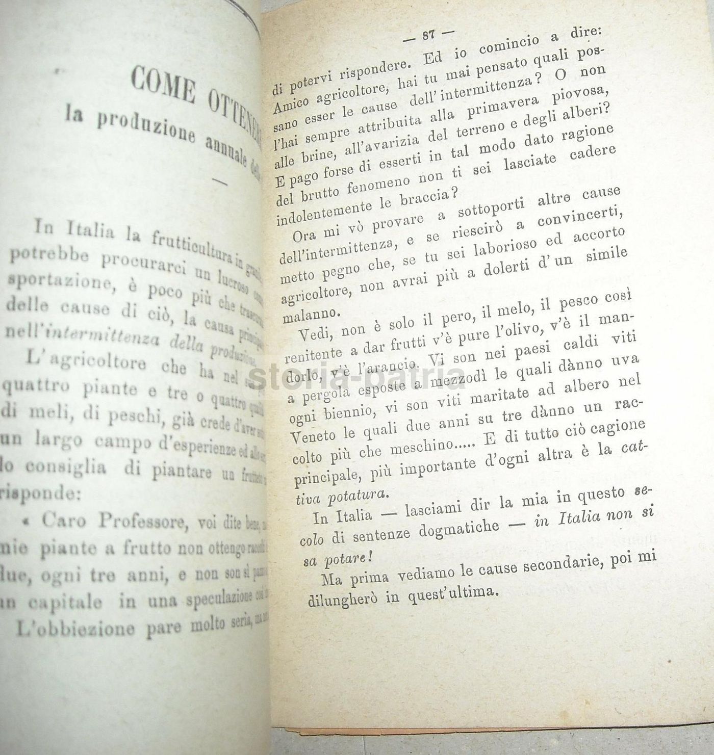 Almanacco Il Coltivatore 1884: Agricoltura, Enologia, Vino E Cantina