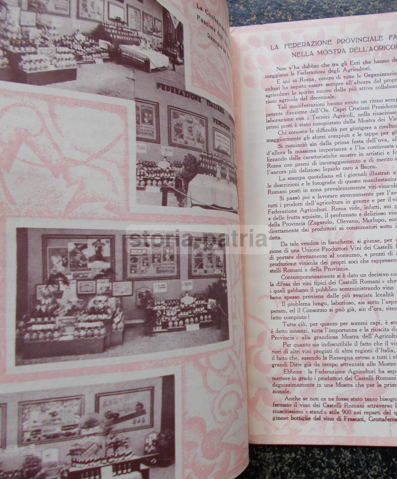 Rassegna Nazionale Dei Vini Tipici (1931)   Florio, Cinzano, Chianti, Gancia