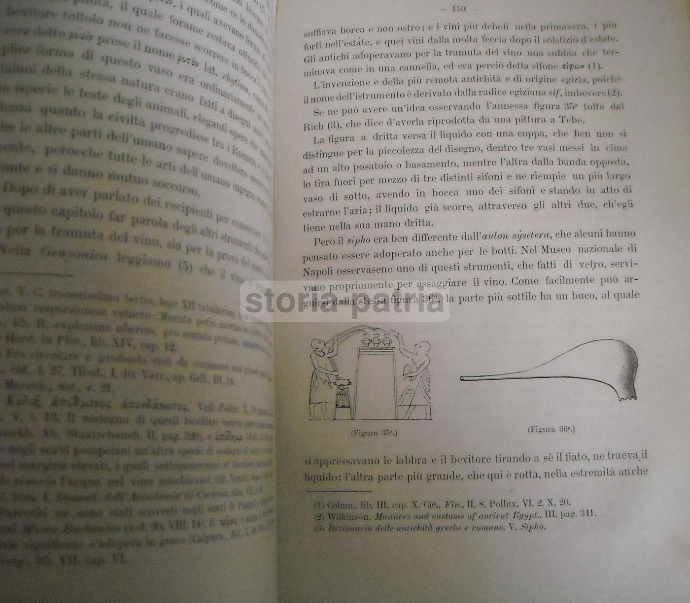 Viticoltura E Enologia Presso I Romani Luigi Manzi (1883)