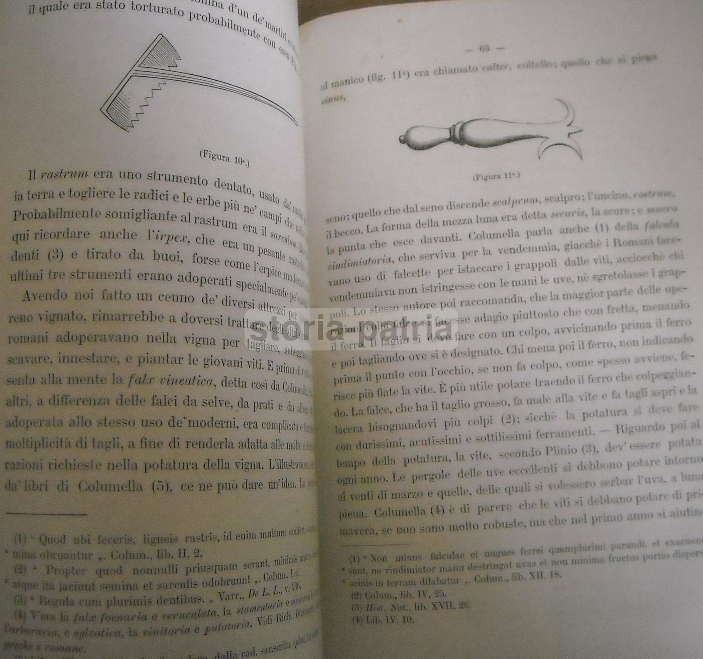 Viticoltura E Enologia Presso I Romani Luigi Manzi (1883)