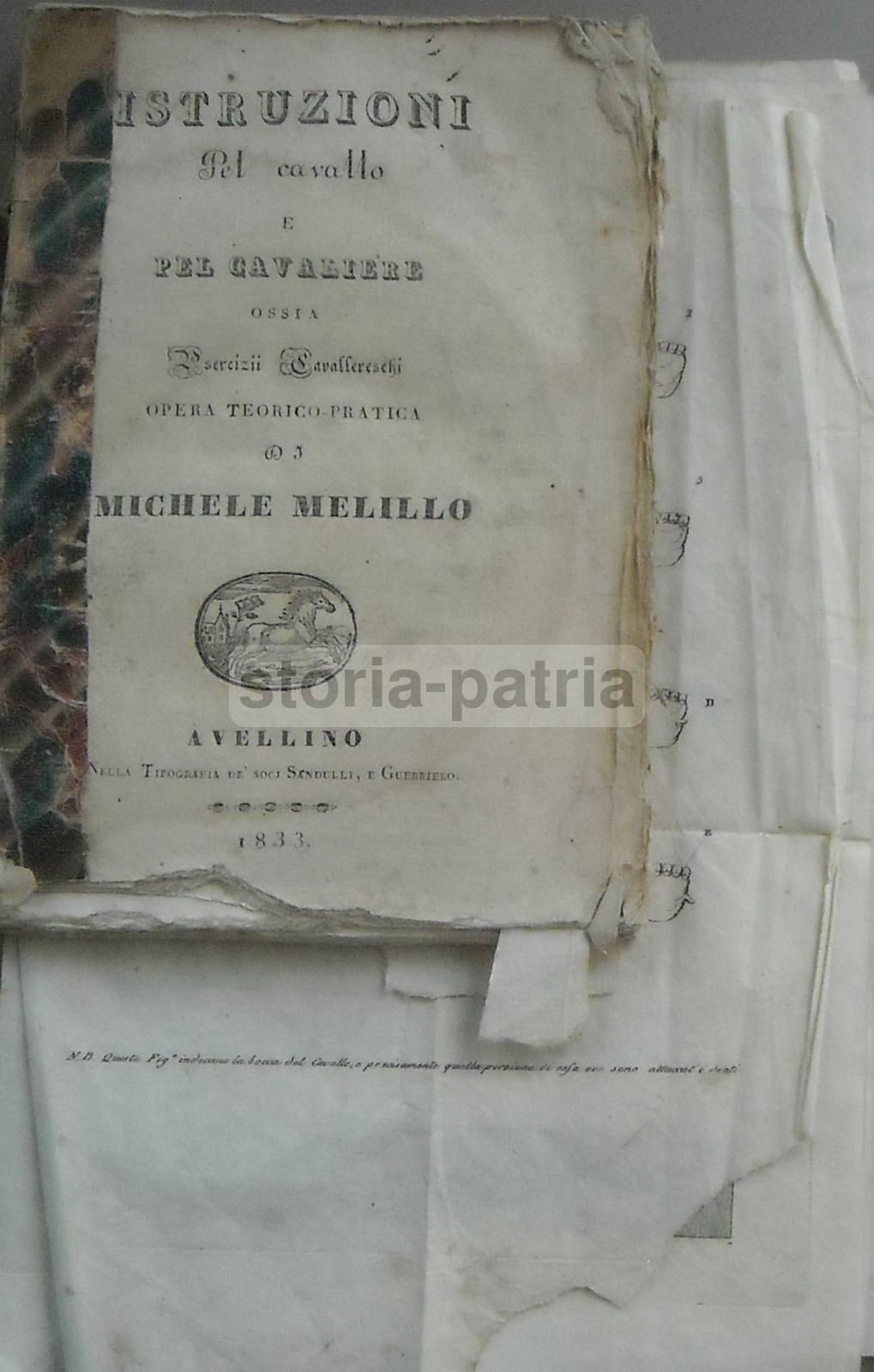 Istruzioni Per Cavallo E Cavaliere. Michele Melillo, Avellino 1833.