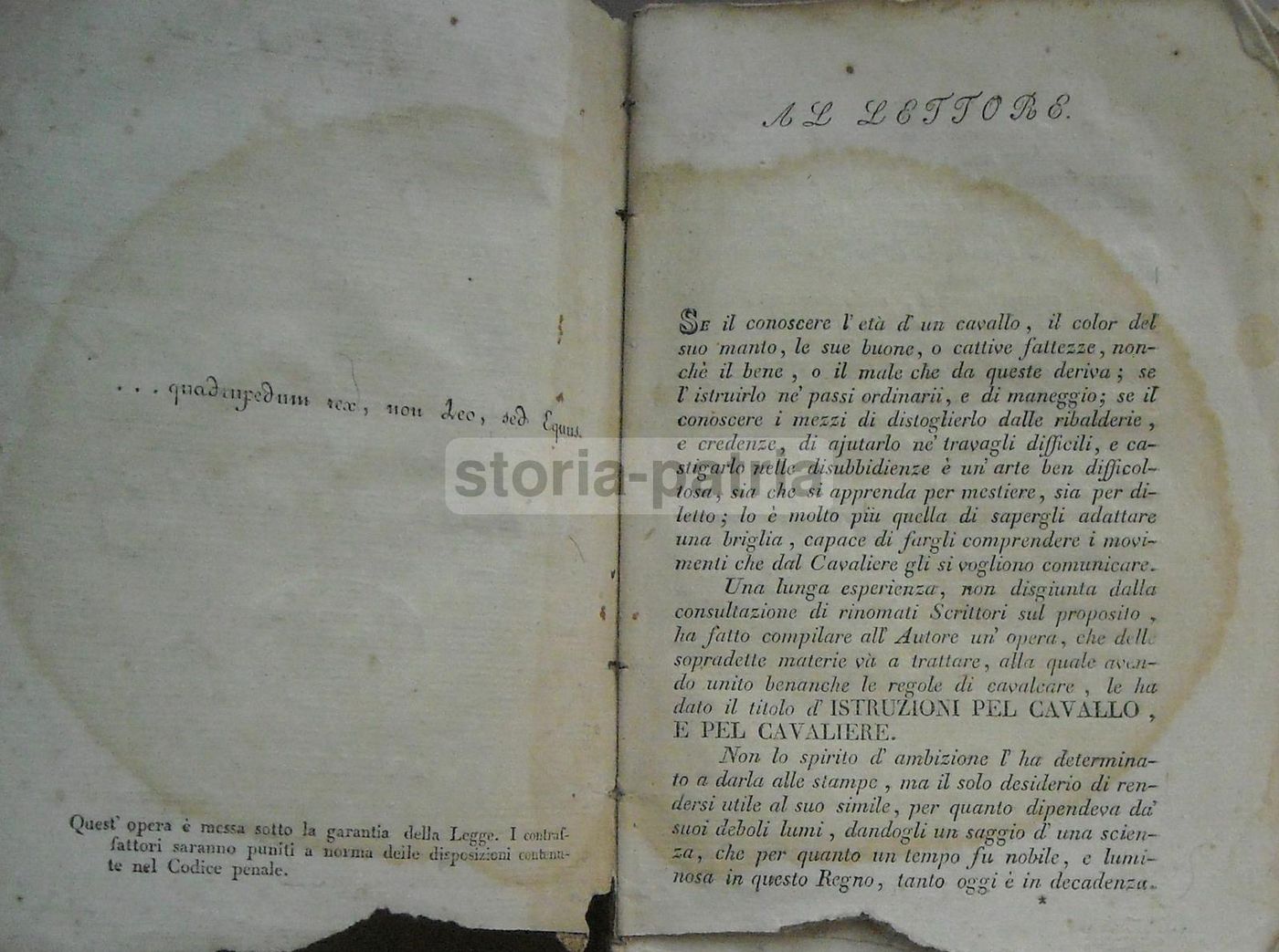 Istruzioni Per Cavallo E Cavaliere. Michele Melillo, Avellino 1833.