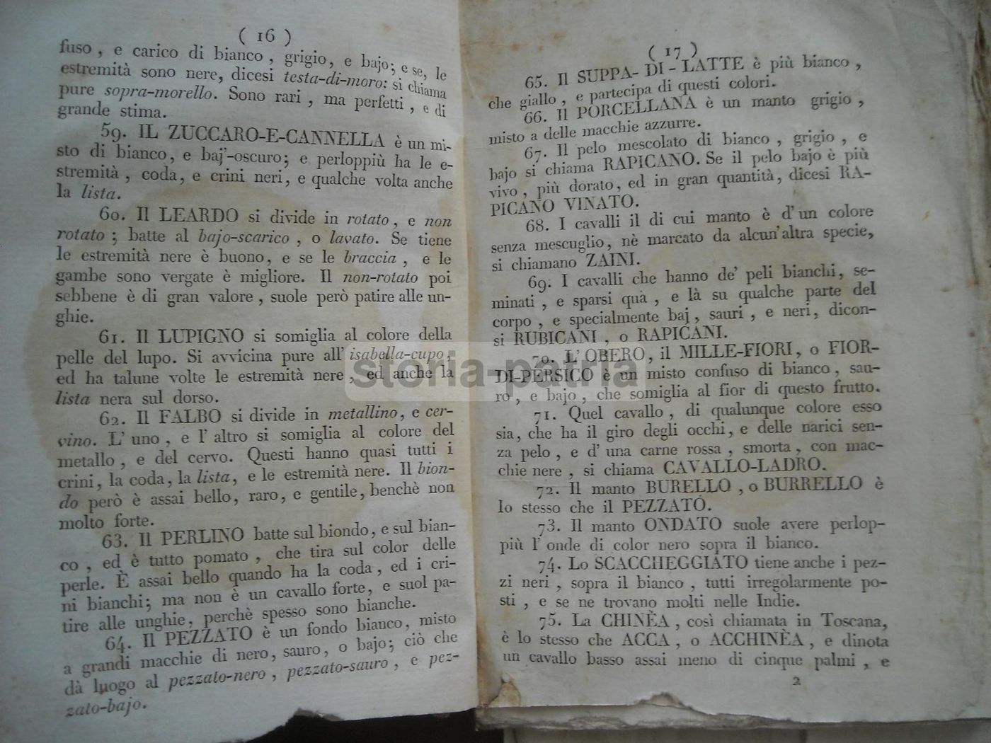 Istruzioni Per Cavallo E Cavaliere. Michele Melillo, Avellino 1833.