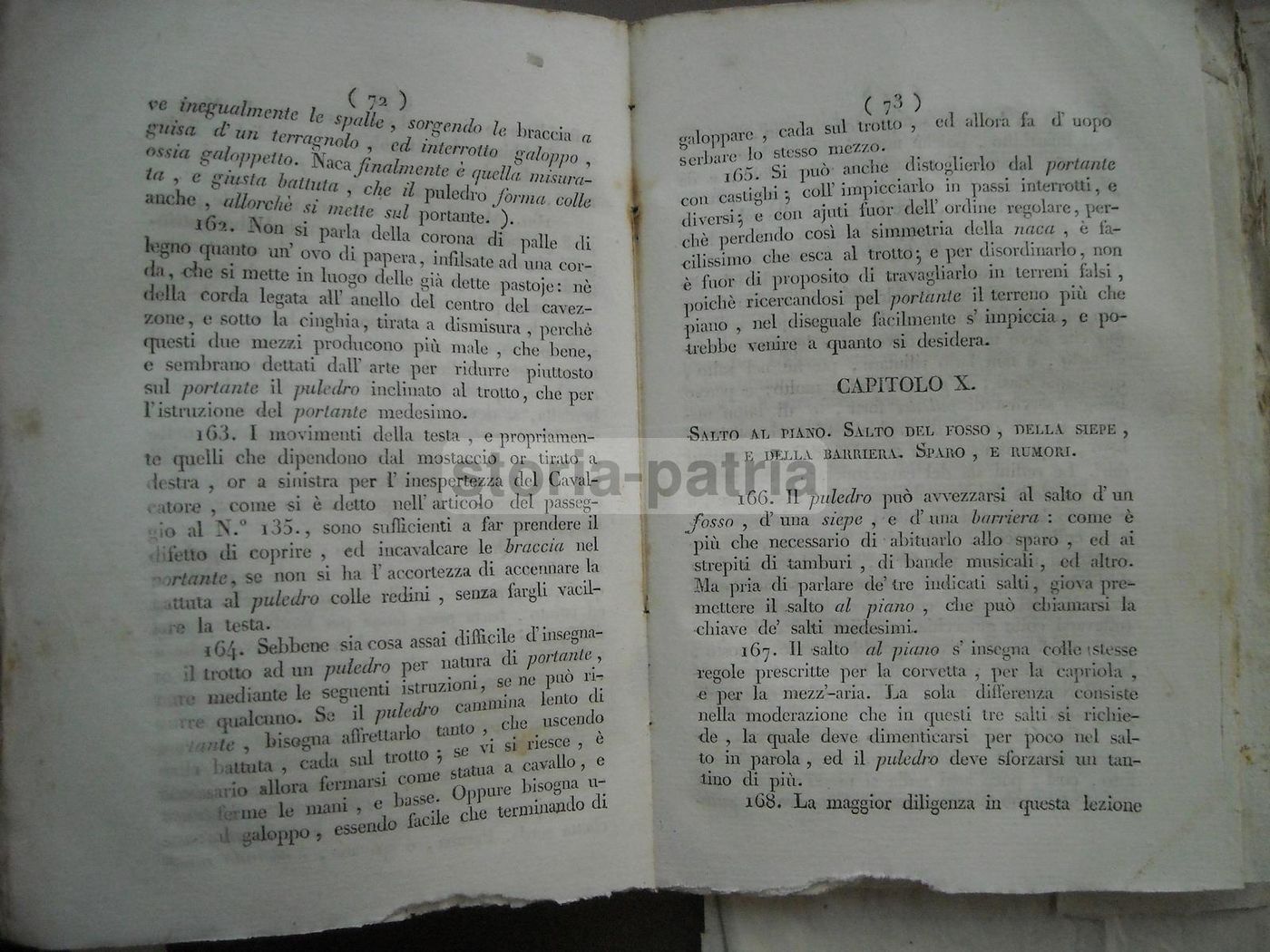 Istruzioni Per Cavallo E Cavaliere. Michele Melillo, Avellino 1833.