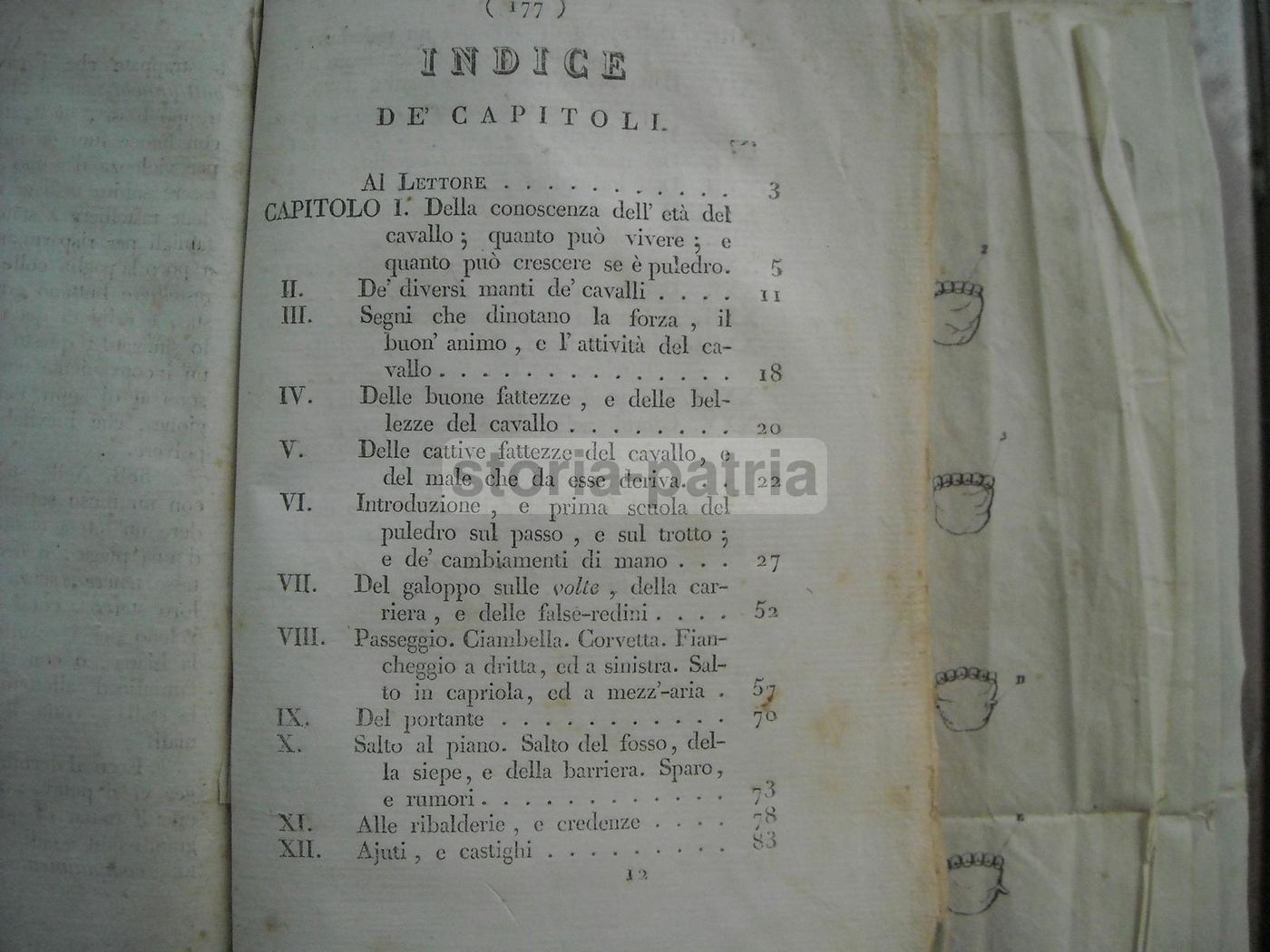 Istruzioni Per Cavallo E Cavaliere. Michele Melillo, Avellino 1833.