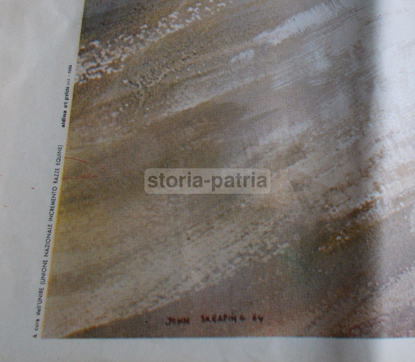 Manifesto Equitazione Unire Razze Equine Anni '60 70x100 Cm