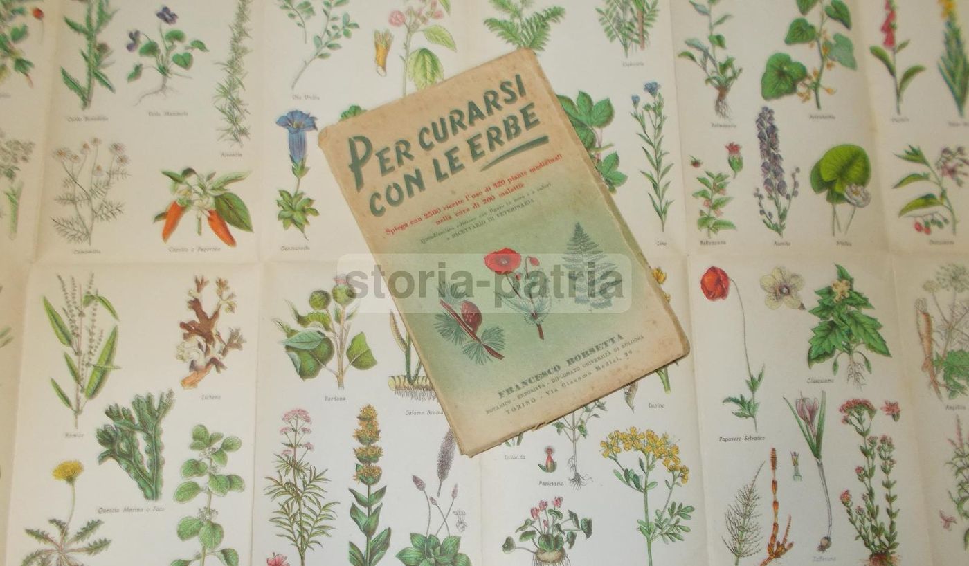 Manuale Erboristico Francesco Borsetta 1950 Con 2500 Ricette