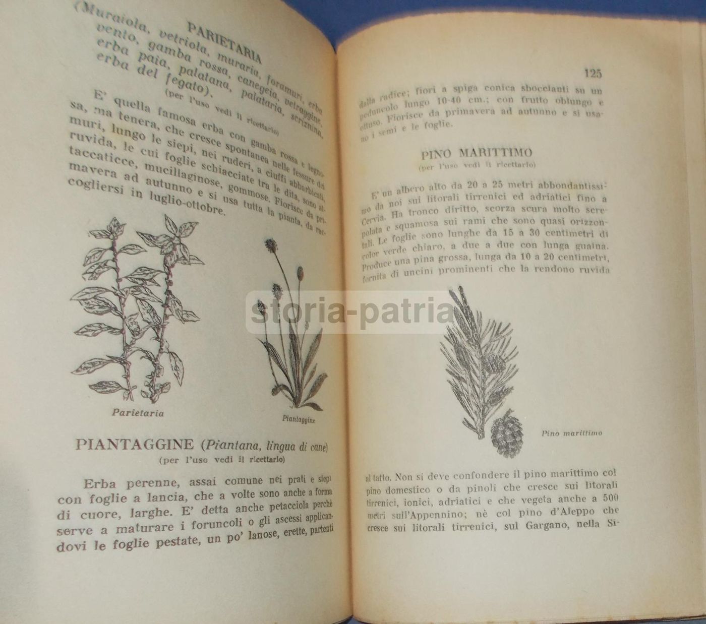 Manuale Erboristico Francesco Borsetta 1950 Con 2500 Ricette