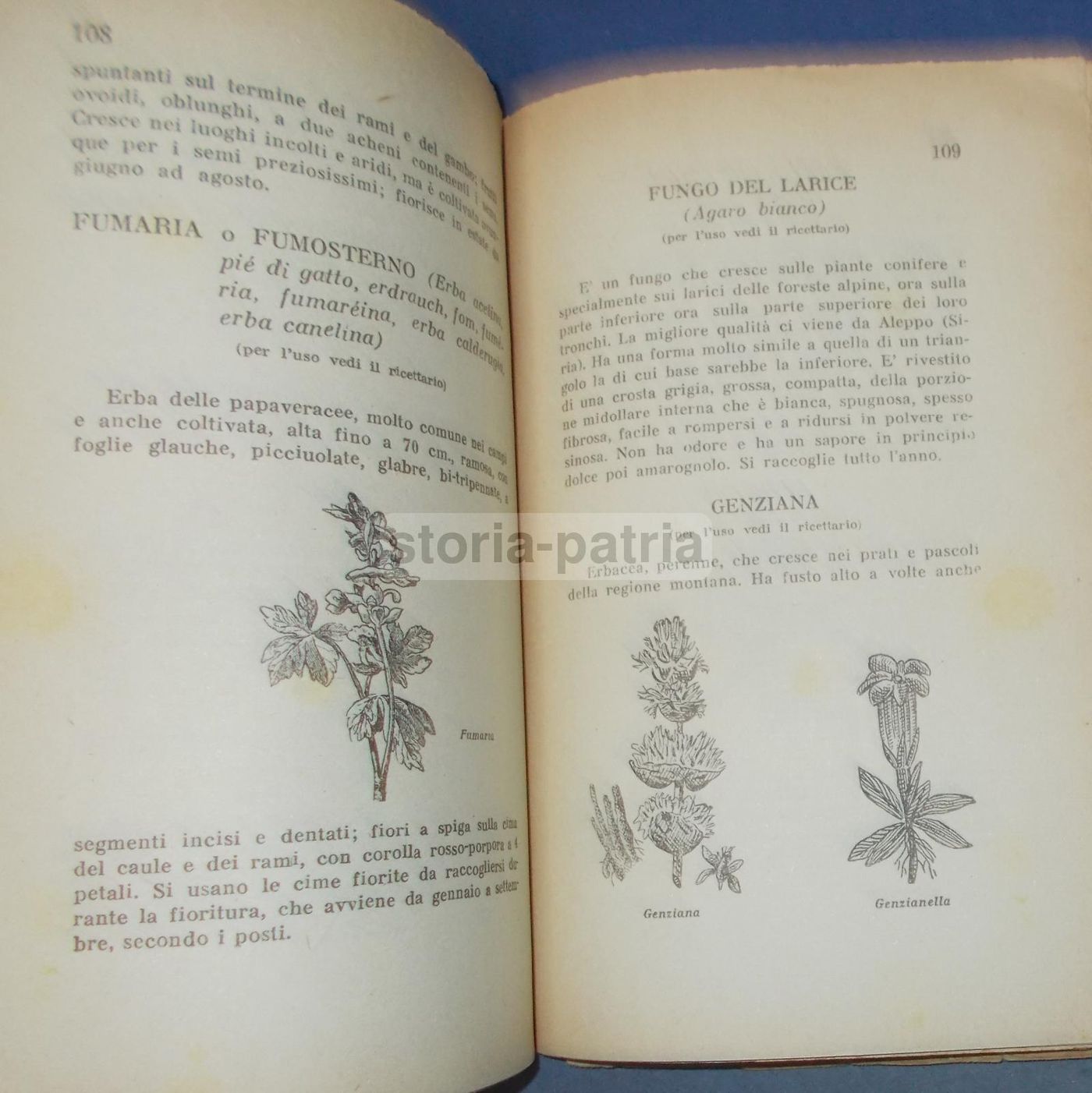 Manuale Erboristico Francesco Borsetta 1950 Con 2500 Ricette