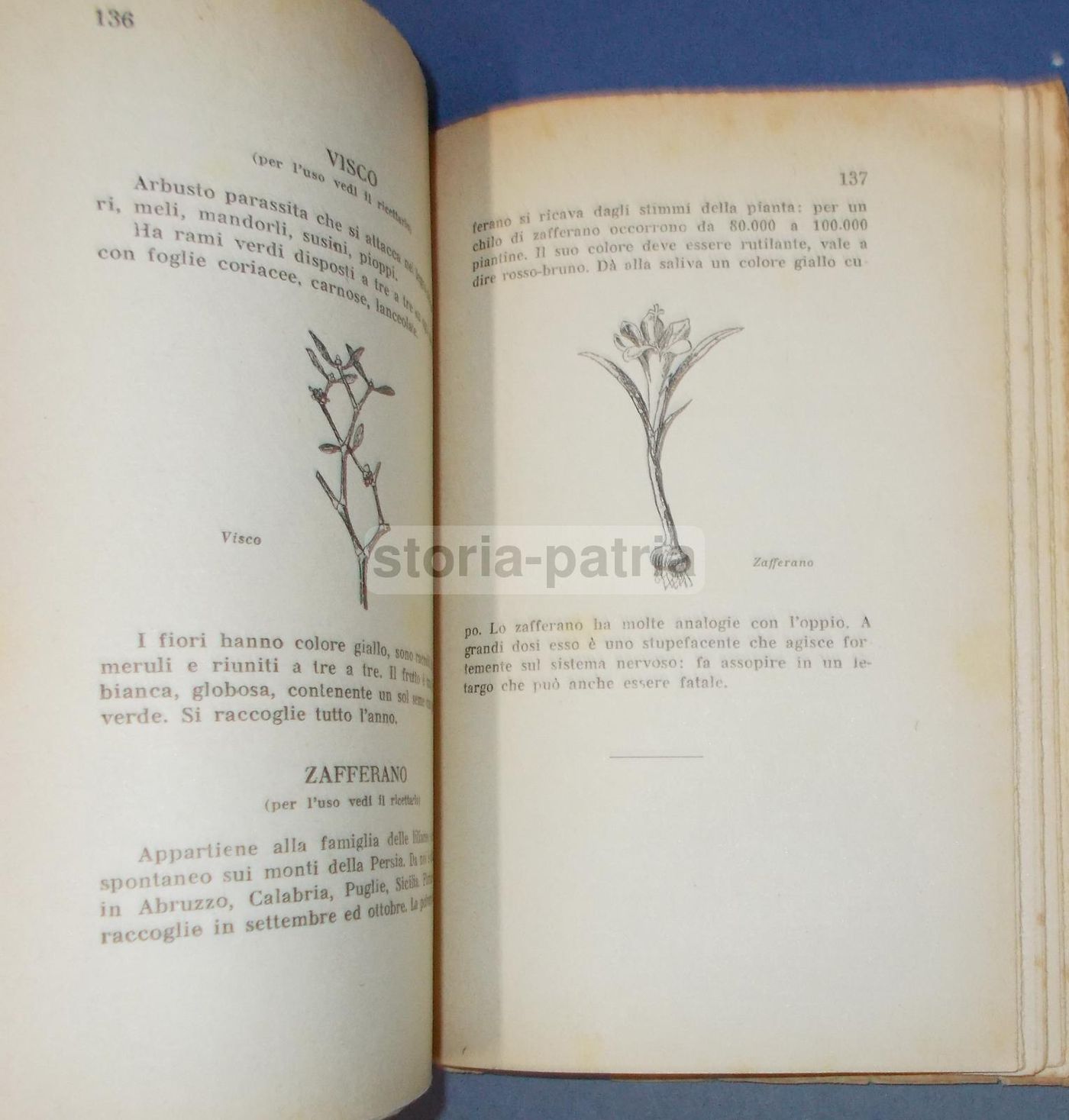 Manuale Erboristico Francesco Borsetta 1950 Con 2500 Ricette