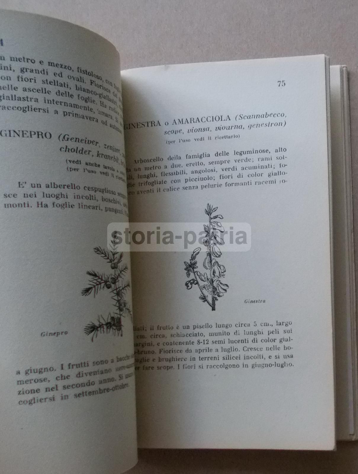 Per Curarsi Con Le Erbe Di Francesco Borsetta, 1949