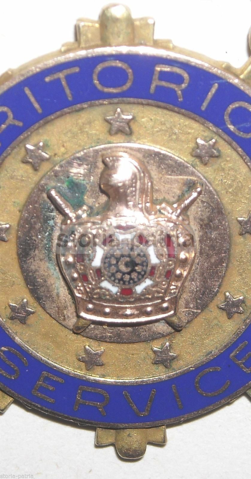Medaglia Esoterica Massonica Con Smalti "Meritorious Service", 1900 Circa