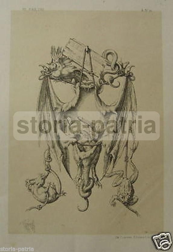 Stampa Antica Chimere 1866: Allegorie Esoteriche, Claesen Liegi