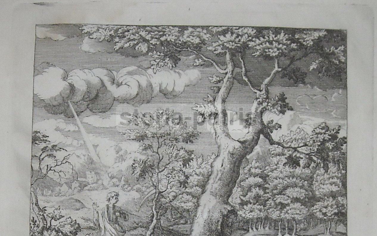 Incisione Antica 1763 Francesco De Luca Allegoria Morte Napoletana
