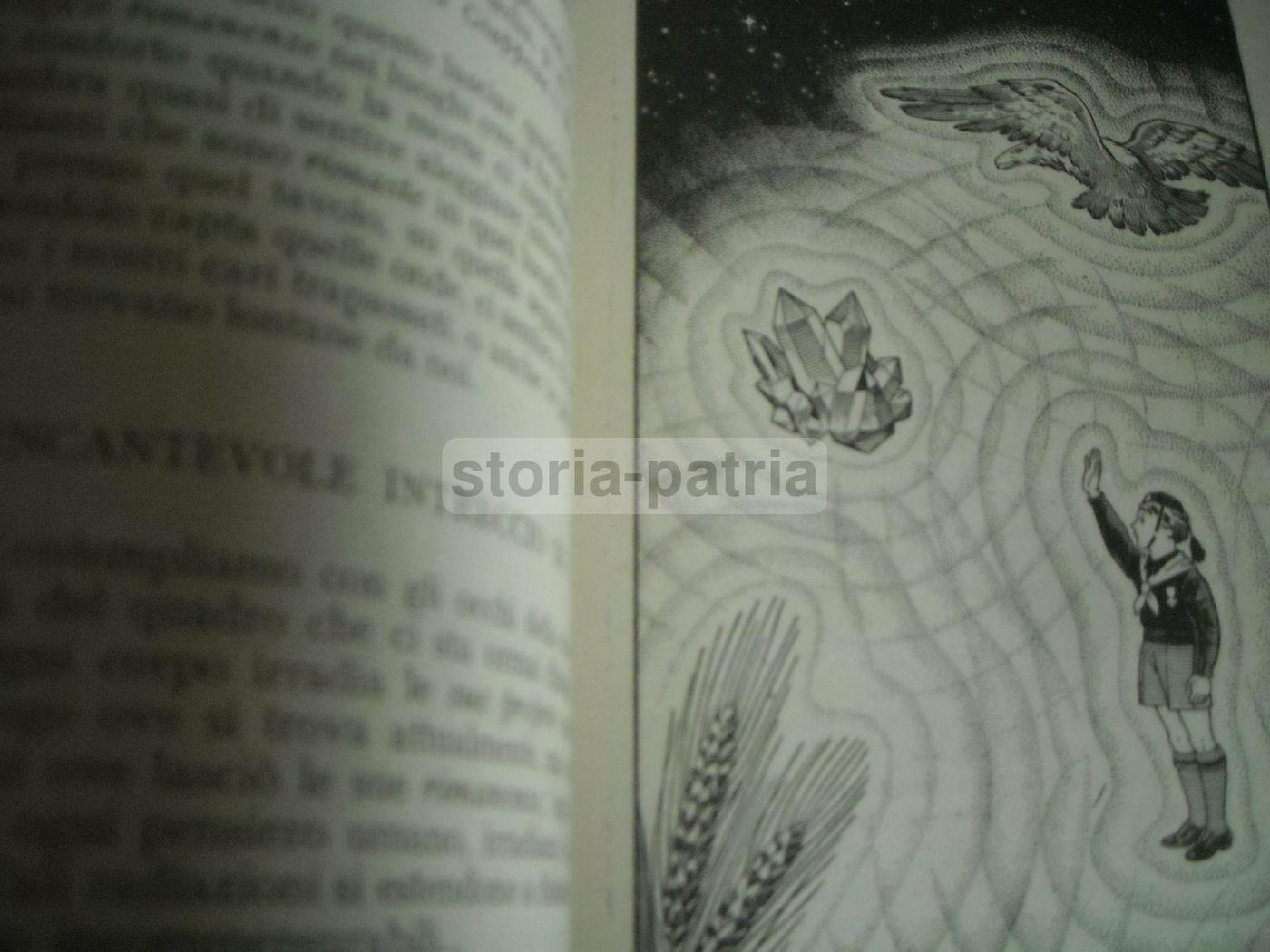 Prodigi Del Pendolo Di Alceste Grandori, 1940: Manuale Di Radiestesia