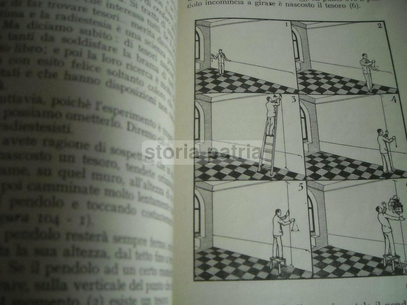 Prodigi Del Pendolo Di Alceste Grandori, 1940: Manuale Di Radiestesia
