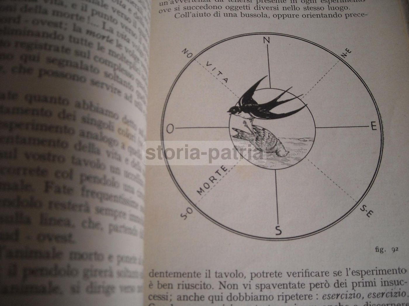 Prodigi Del Pendolo Di Alceste Grandori, 1940: Manuale Di Radiestesia
