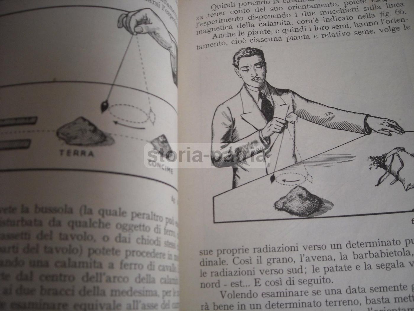 Prodigi Del Pendolo Di Alceste Grandori, 1940: Manuale Di Radiestesia