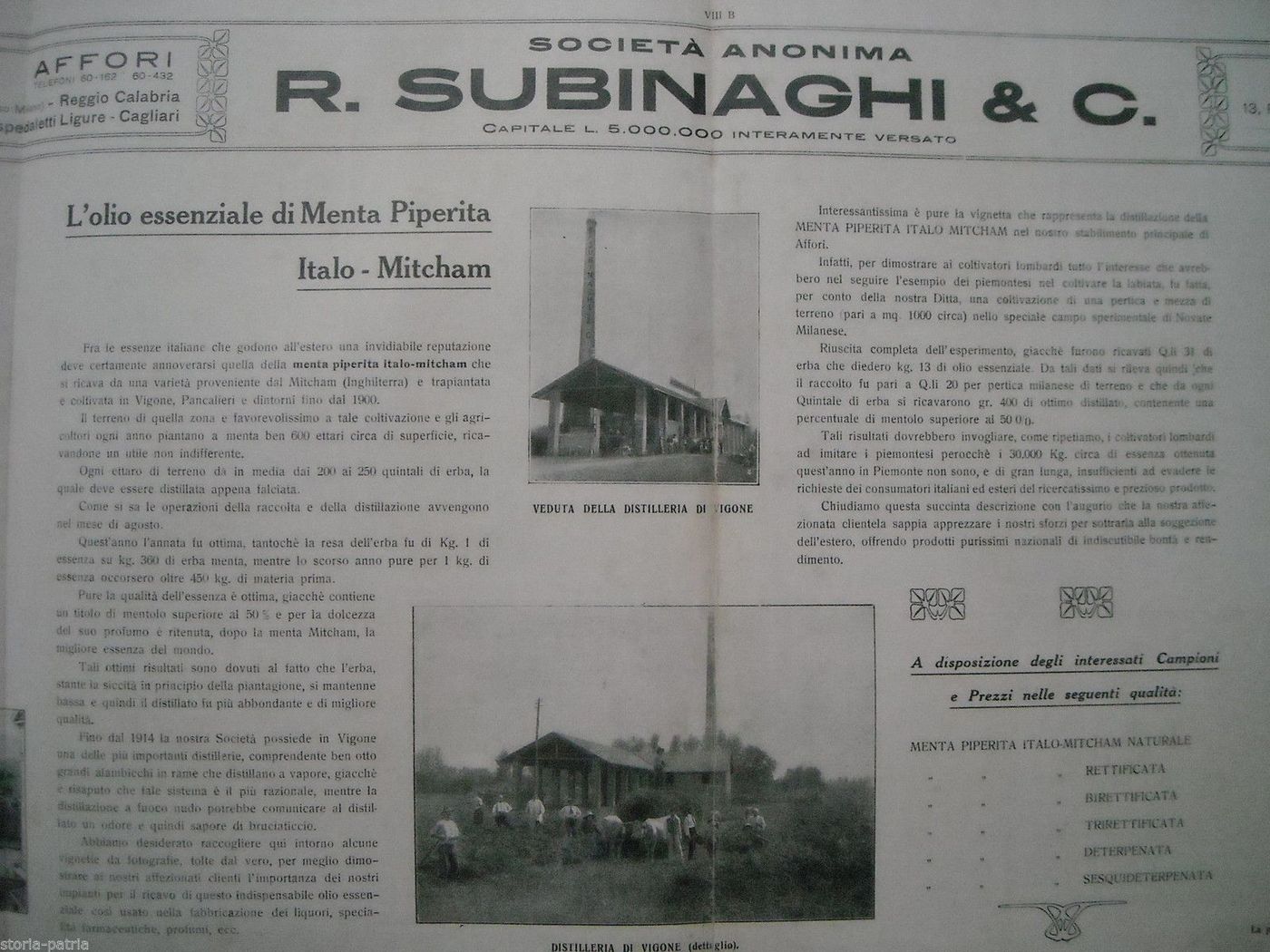 Pieghevole Subinaghi: Olio Di Menta Piperita, Milano, Affori, Vigone, 1900
