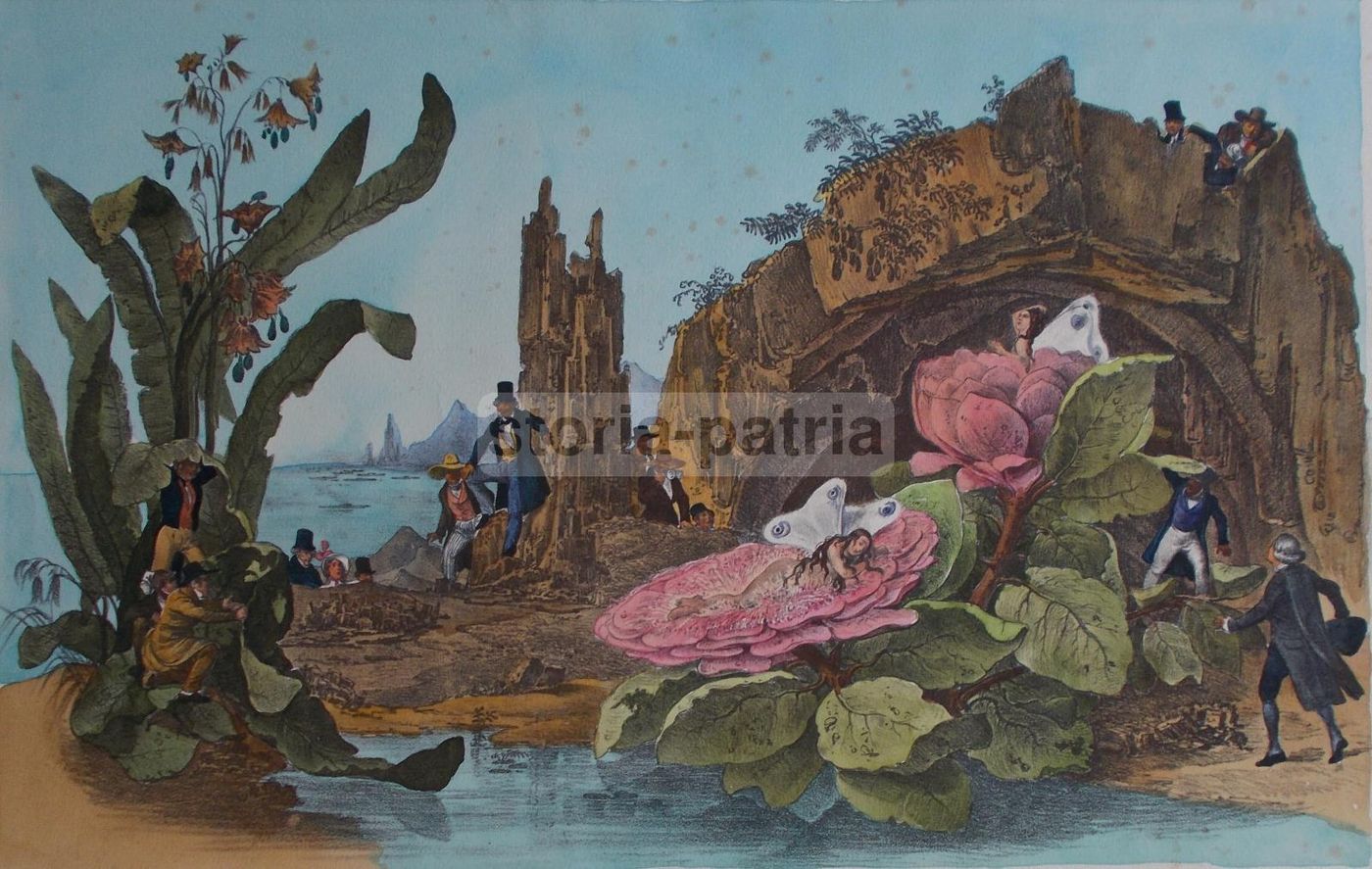Stampa Litografica Lunare Napoli 1836 Gaetano Dura Colorata