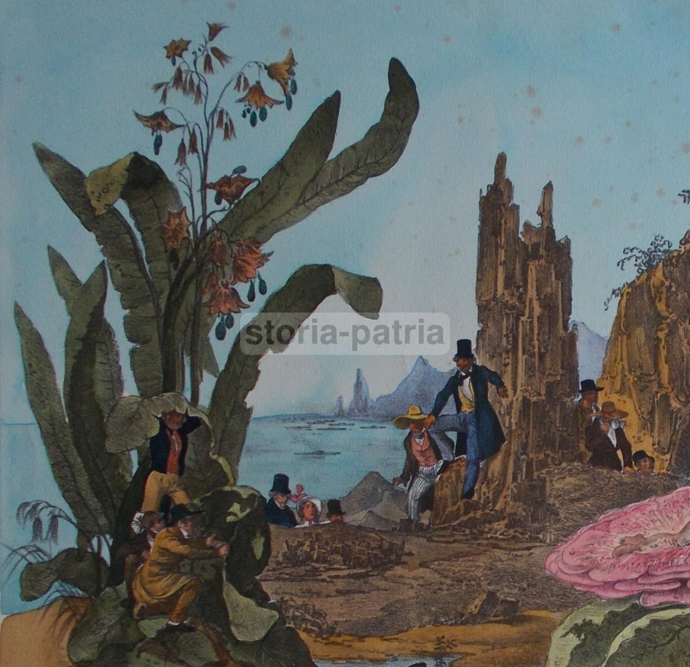 Stampa Litografica Lunare Napoli 1836 Gaetano Dura Colorata